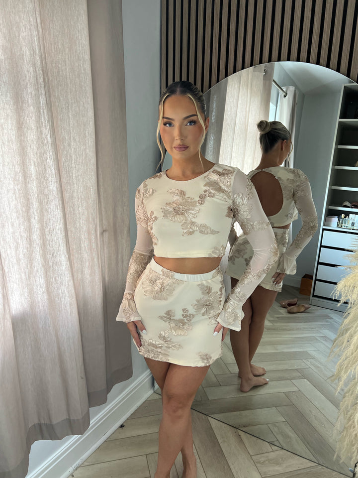 Beige Mesh Floral Appliqué Set
